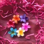 5pcs Colorful Flower Hair Clips